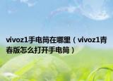 vivoz1手電筒在哪里（vivoz1青春版怎么打開手電筒）