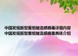 中國發(fā)現(xiàn)新型重組豬流感病毒詳細(xì)內(nèi)容 中國發(fā)現(xiàn)新型重組豬流感病毒具體介紹