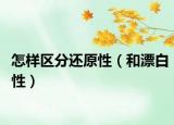 怎樣區(qū)分還原性（和漂白性）
