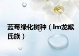 藍莓綠化樹種（lm龍喉氏族）