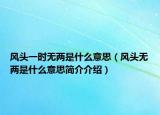 風頭一時無兩是什么意思（風頭無兩是什么意思簡介介紹）
