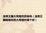洛克王國(guó)大耳帽兜厲害嗎（洛克王國(guó)格格布和大耳帽兜哪個(gè)好）