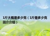 1斤大概是多少克（1斤是多少克簡介介紹）