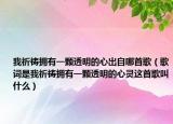 我祈禱擁有一顆透明的心出自哪首歌（歌詞是我祈禱擁有一顆透明的心靈這首歌叫什么）