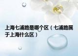上海七浦路是哪個(gè)區(qū)（七浦路屬于上海什么區(qū)）