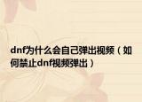 dnf為什么會(huì)自己彈出視頻（如何禁止dnf視頻彈出）