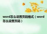 word怎么設(shè)置頁碼格式（word怎么設(shè)置頁碼）