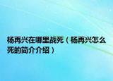 楊再興在哪里戰(zhàn)死（楊再興怎么死的簡(jiǎn)介介紹）