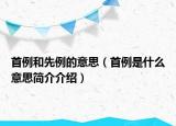 首例和先例的意思（首例是什么意思簡介介紹）