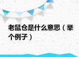 老鼠倉(cāng)是什么意思（舉個(gè)例子）