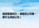 諾菲集團簡介（浦諾菲公司是一家什么樣的公司）