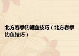 北方春季釣鯉魚技巧（北方春季釣魚技巧）