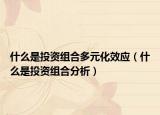 什么是投資組合多元化效應(yīng)（什么是投資組合分析）