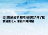 當(dāng)日最新消息 被拍扁的蚊子成了犯罪目擊證人 來看案件真相