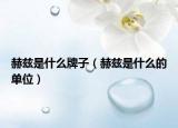 赫茲是什么牌子（赫茲是什么的單位）