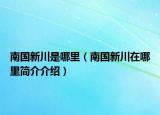 南國新川是哪里（南國新川在哪里簡介介紹）