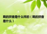 脆的拼音是什么樣的（脆的拼音是什么）