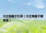 大紅袍屬于紅茶（大紅袍屬于哪類(lèi)茶）