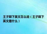 王子殿下英文怎么說（王子殿下英文是什么）