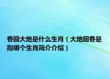 春回大地是什么生肖（大地回春是指哪個生肖簡介介紹）