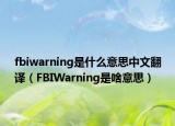 fbiwarning是什么意思中文翻譯（FBIWarning是啥意思）