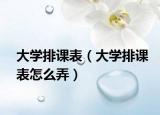 大學(xué)排課表（大學(xué)排課表怎么弄）