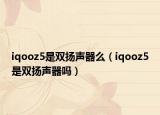 iqooz5是雙揚聲器么（iqooz5是雙揚聲器嗎）