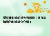 受晝夜影響的植物有哪些（晝夜對(duì)植物的影響簡(jiǎn)介介紹）