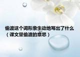 偷渡這個詞形象生動地寫出了什么（課文里偷渡的意思）