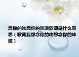 想你的吻想你的味道歌詞是什么意思（歌詞我想念你的吻想念你的味道）