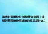 清明時(shí)節(jié)雨紛紛 紛紛什么意思（清明時(shí)節(jié)雨紛紛雨紛紛的意思是什么）