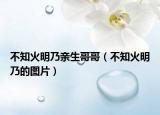 不知火明乃親生哥哥（不知火明乃的圖片）