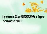 iqooneo怎么讀漢語發(fā)音（iqooneo怎么分屏）