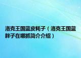 洛克王國(guó)藍(lán)皮耗子（洛克王國(guó)藍(lán)胖子在哪抓簡(jiǎn)介介紹）