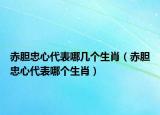 赤膽忠心代表哪幾個生肖（赤膽忠心代表哪個生肖）