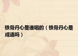 鐵骨丹心是誰(shuí)唱的（鐵骨丹心是成語(yǔ)嗎）
