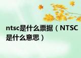 ntsc是什么票據(jù)（NTSC是什么意思）