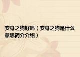 安身之狗好嗎（安身之狗是什么意思簡介介紹）