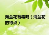 海蘭花有毒嗎（海蘭花的特點(diǎn)）