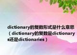 dictionary的復(fù)數(shù)形式是什么意思（dictionary的復(fù)數(shù)是dictionarys還是dictionaries）
