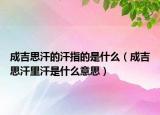成吉思汗的汗指的是什么（成吉思汗里汗是什么意思）