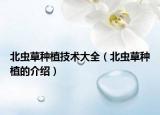 北蟲草種植技術(shù)大全（北蟲草種植的介紹）