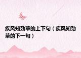疾風(fēng)知勁草的上下句（疾風(fēng)知勁草的下一句）