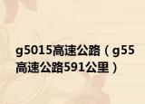 g5015高速公路（g55高速公路591公里）