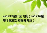 ca1249是什么飛機(jī)（ca1216是哪個(gè)航空公司簡(jiǎn)介介紹）