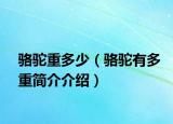 駱駝重多少（駱駝有多重簡介介紹）