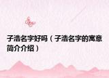 子浩名字好嗎（子浩名字的寓意簡介介紹）