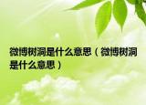 微博樹洞是什么意思（微博樹洞是什么意思）