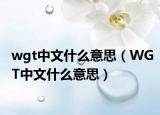 wgt中文什么意思（WGT中文什么意思）