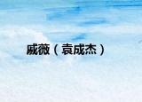 戚薇（袁成杰）